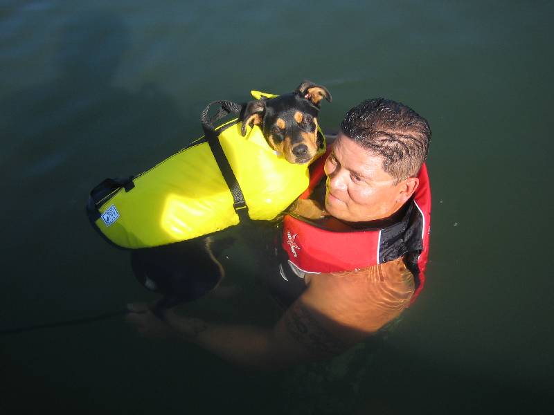 Click for original image